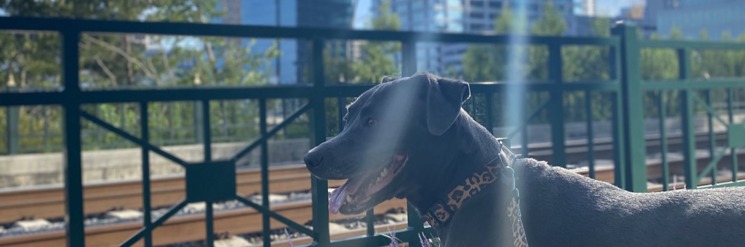 kolbe13's profile banner image