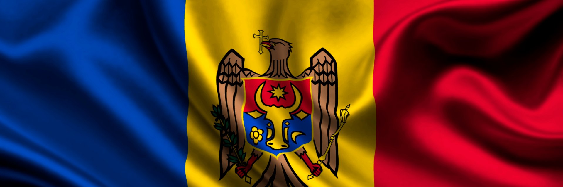Mihai Popșoi's banner