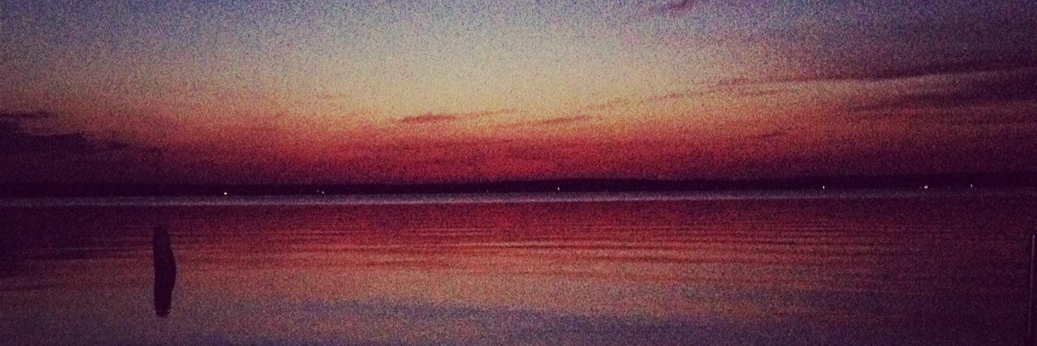 Goose_Mychael's profile banner image