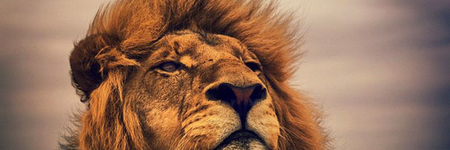 Прохоров Георгий banner