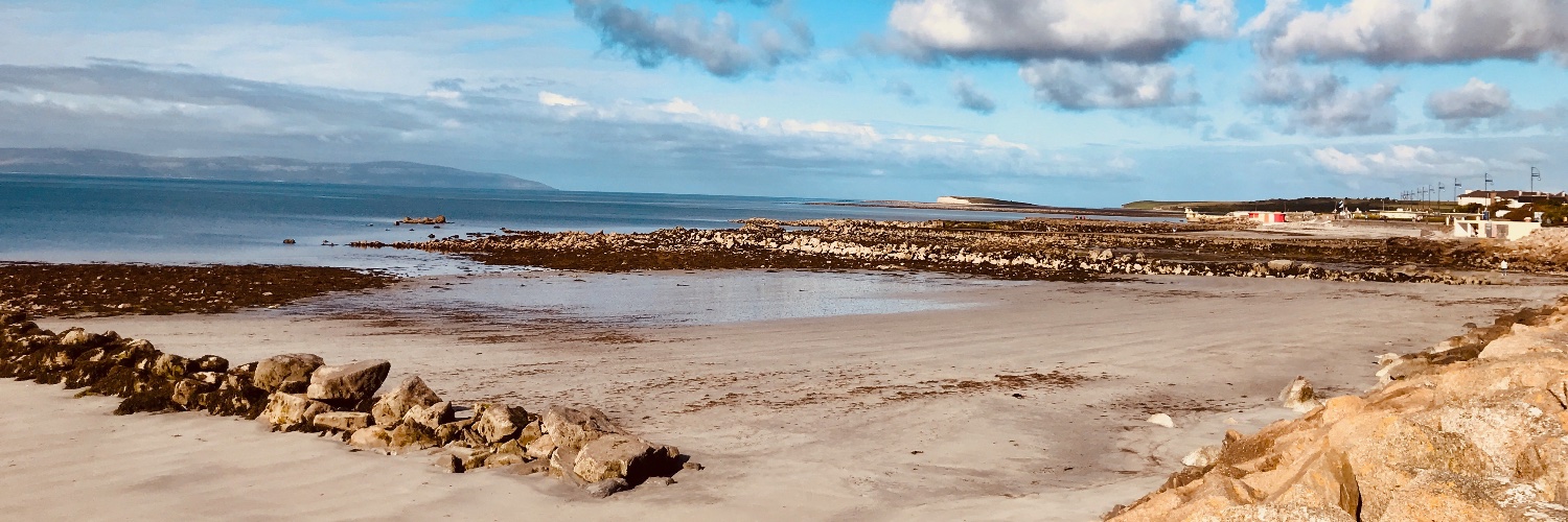 Fiona Tyrrell banner