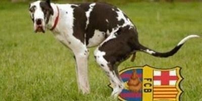 antiFCBarca_'s profile banner image