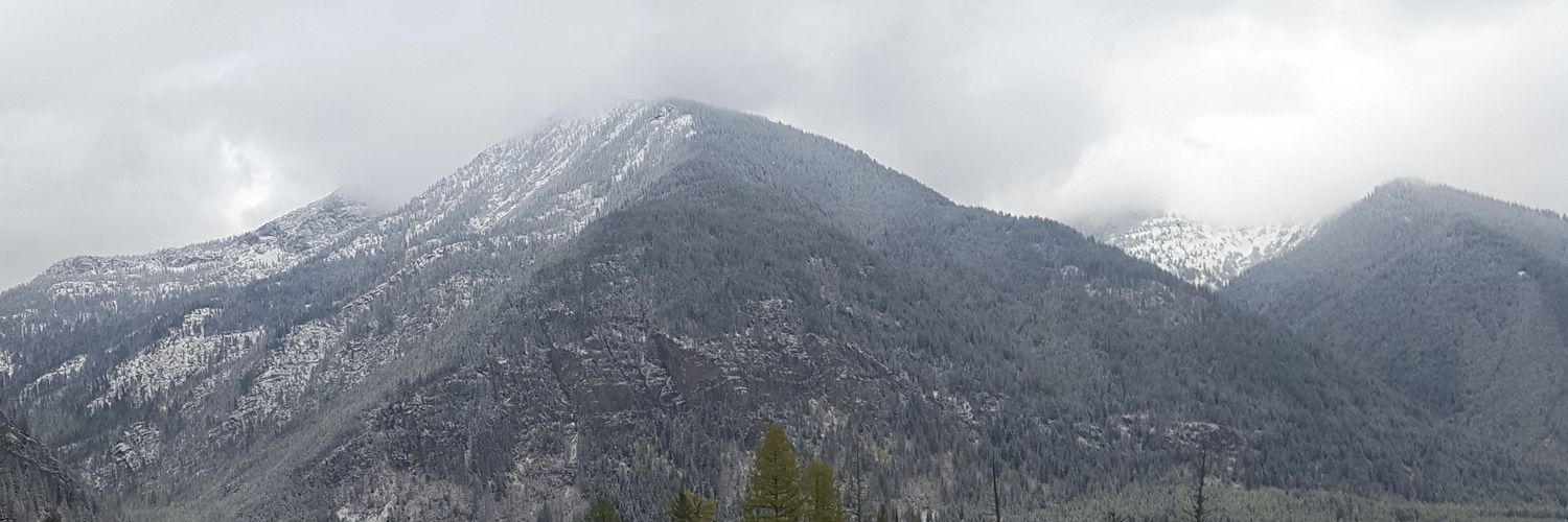 zmensonides's profile banner image