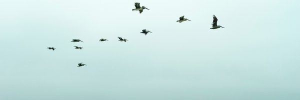 edrormba Profile Banner