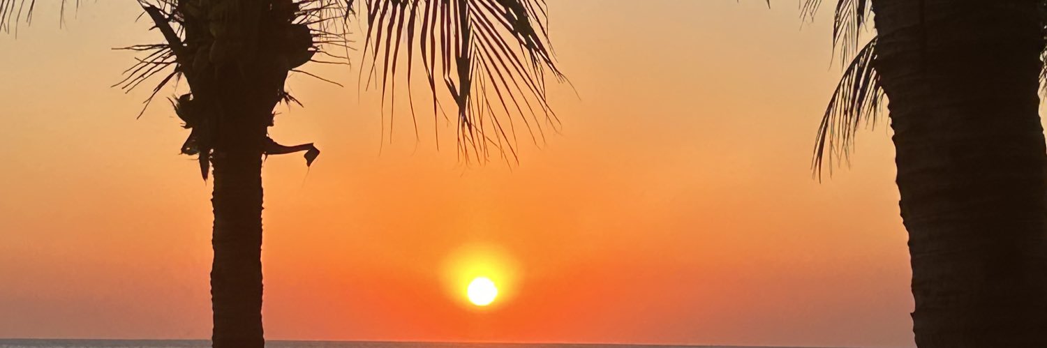zcdp_'s profile banner image