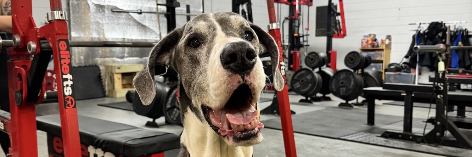 BIG QUEER WEAPON banner