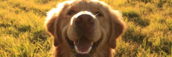 akaps11's profile banner image