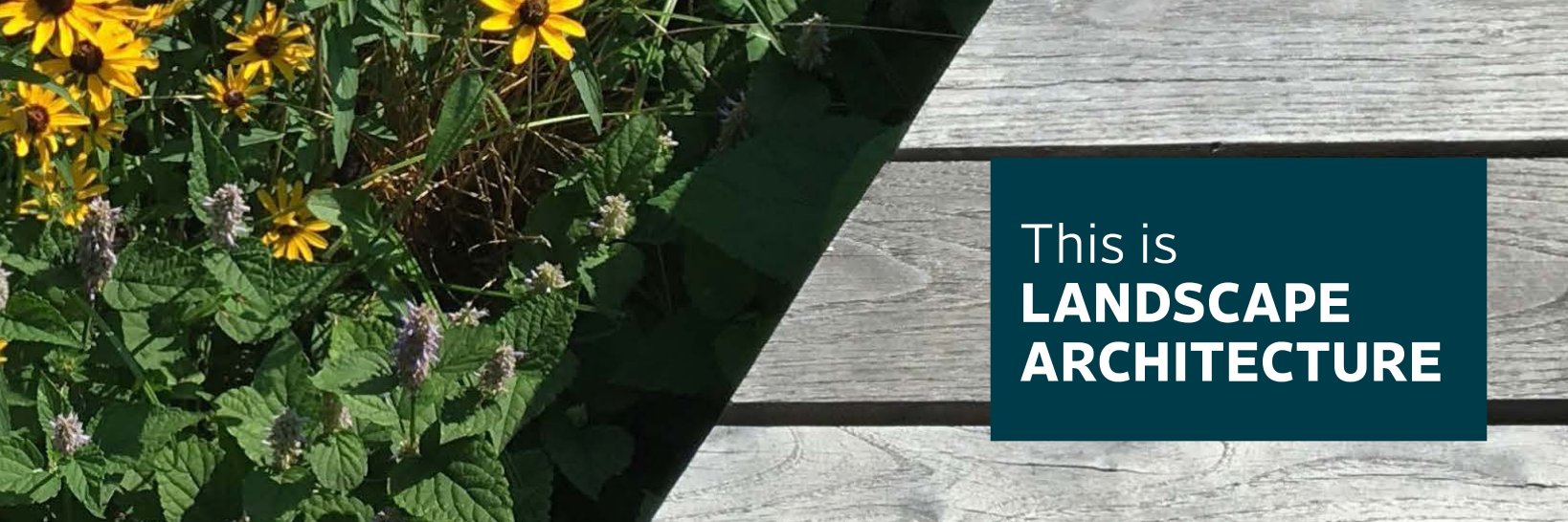 Virginia_ASLA's profile banner image