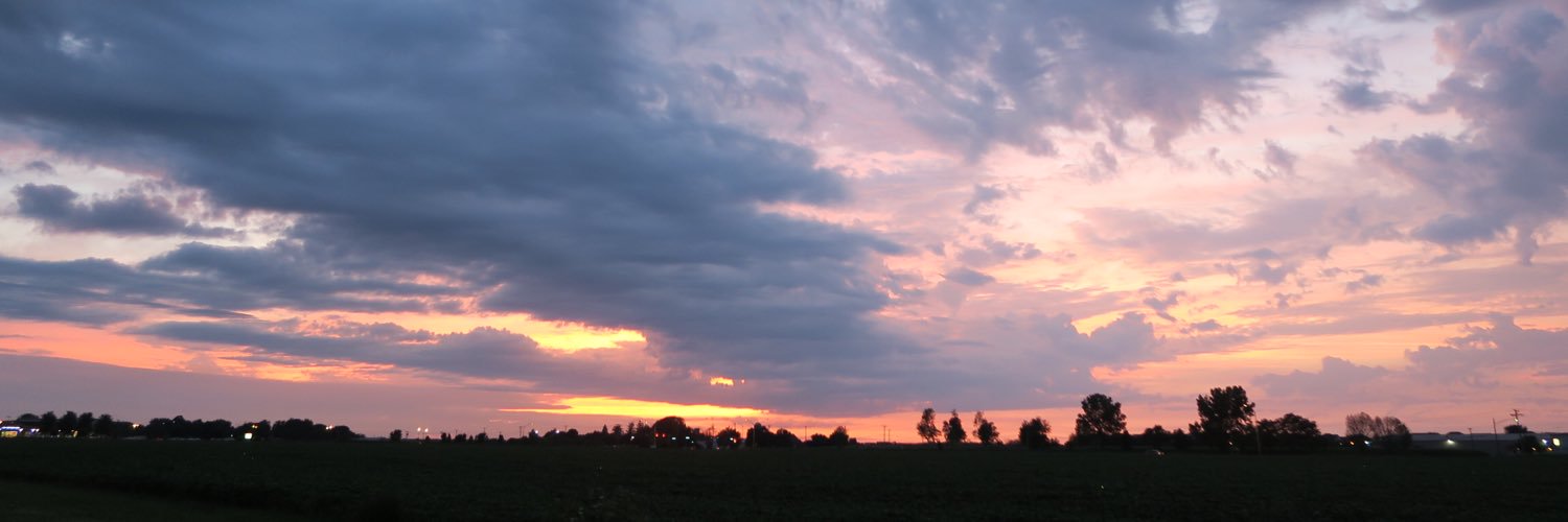 xHiddenRose's profile banner image