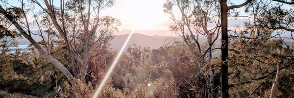 MarkusMannheim Profile Banner