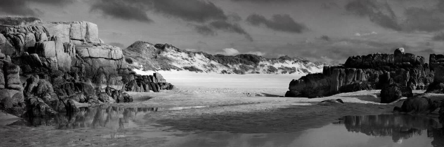 Tony Connelly banner