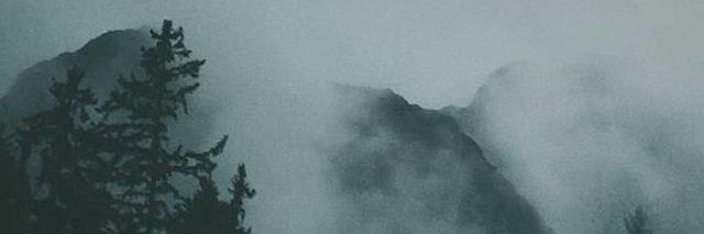 BaumArmy's profile banner image