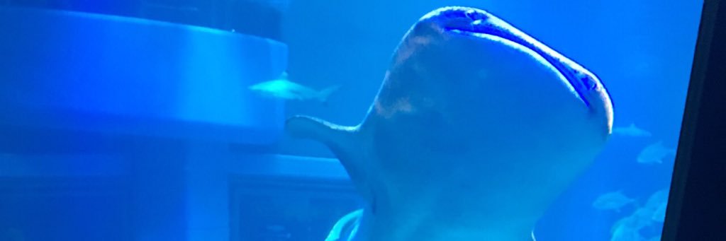 hrshappiness1's profile banner image