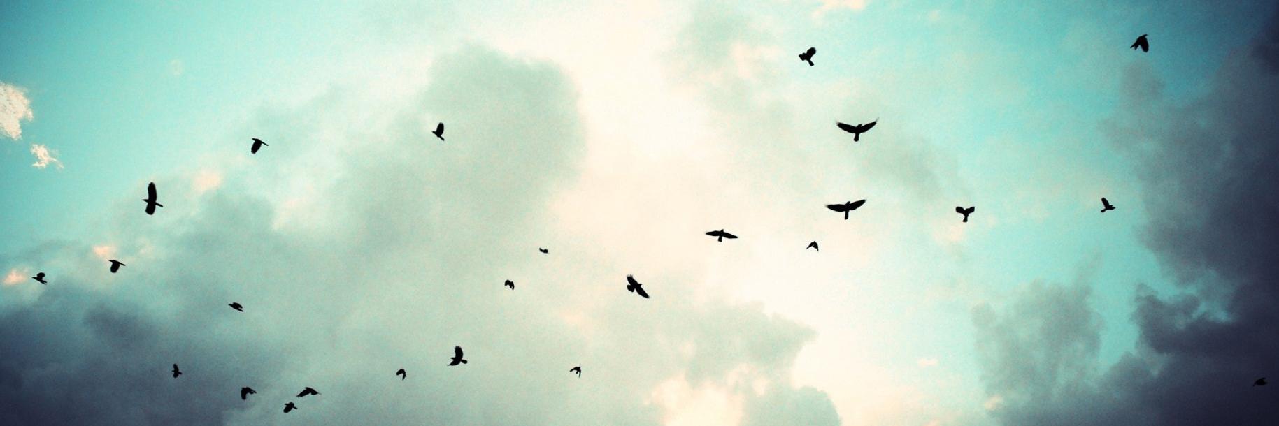 reyhancelekoglu's profile banner image