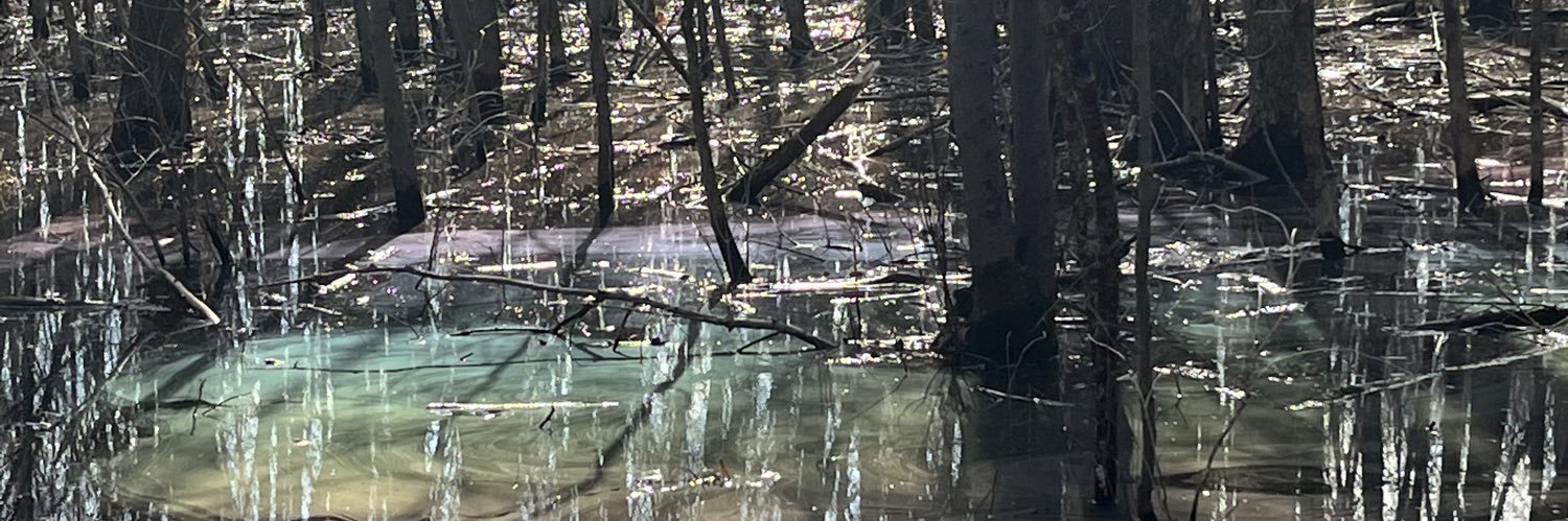 PointNiM0's profile banner image