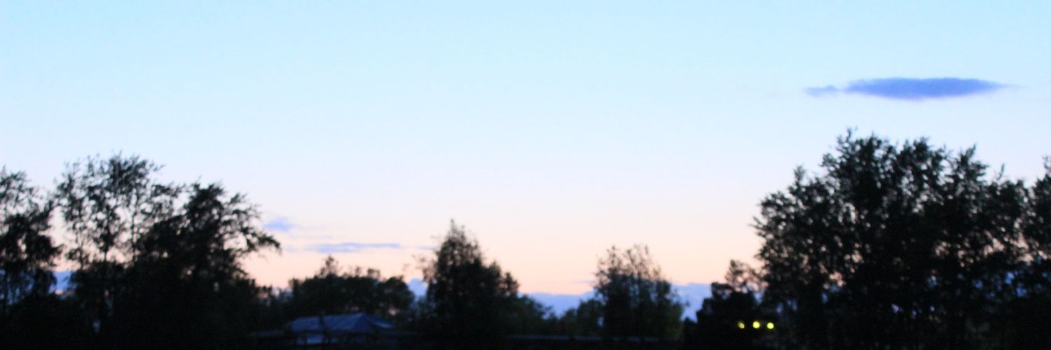 JuliaSever's profile banner image