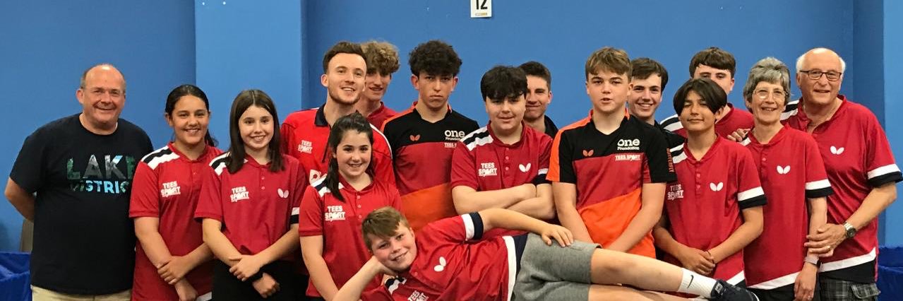 Table Tennis Jersey banner