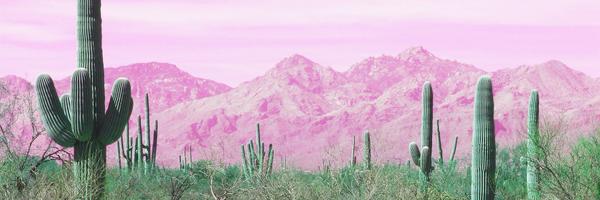 BonetownRecords Profile Banner