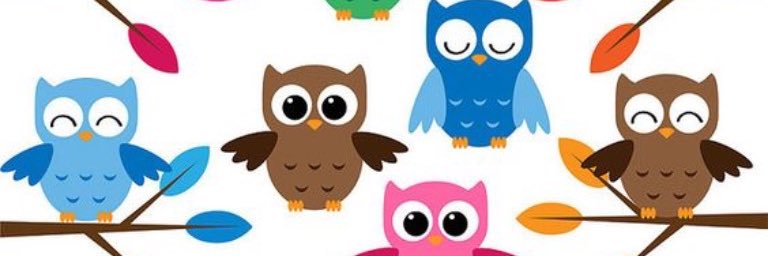 AshbridgeOwls's profile banner image