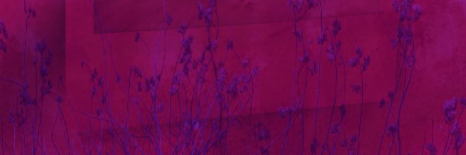 ethnwest's profile banner image