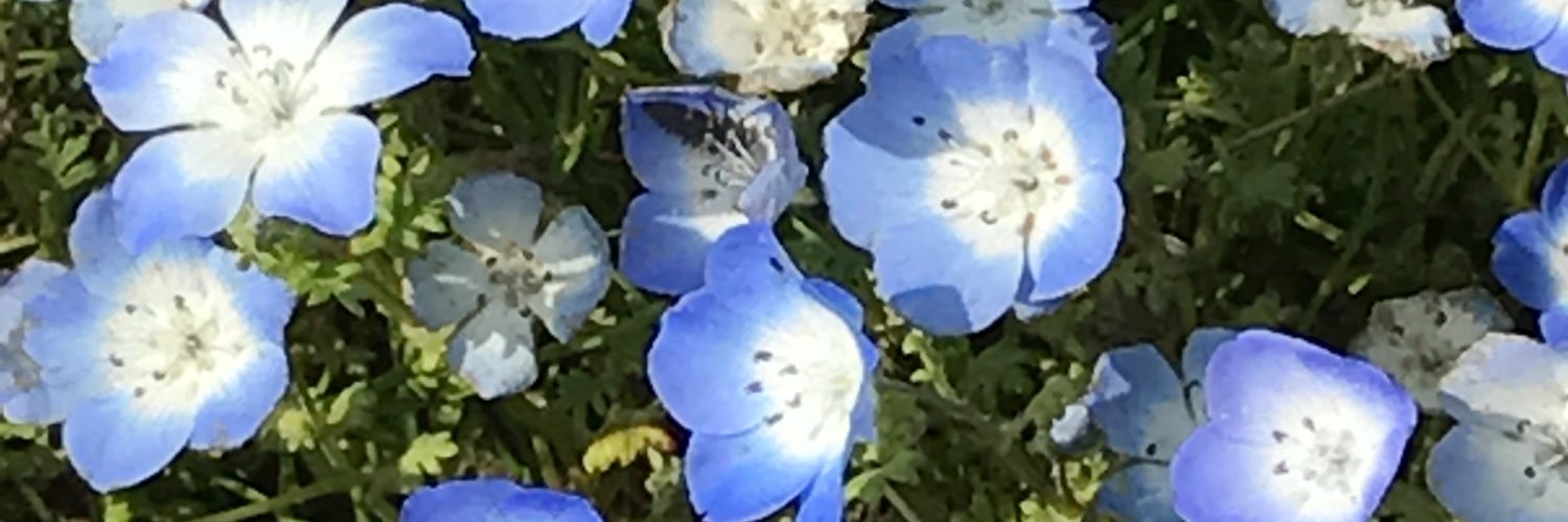 tm_ccoS2's profile banner image