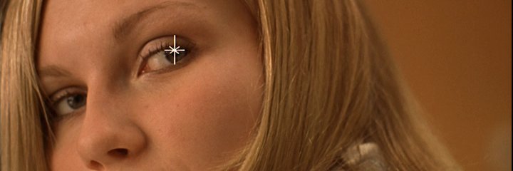 filho da sofia coppola banner