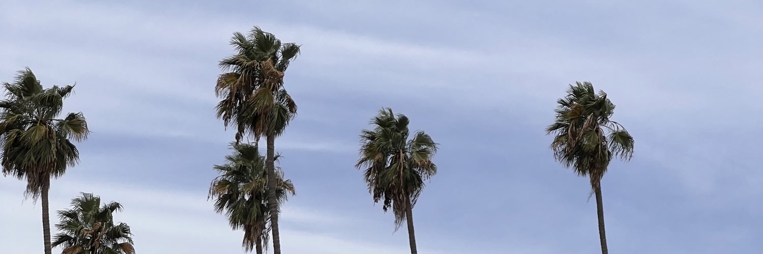 DAngeloCastro1's profile banner image