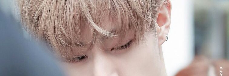 양도 banner