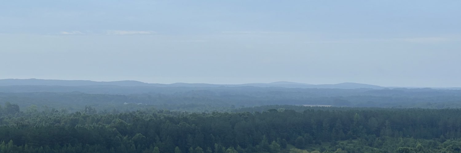 nessio's profile banner image