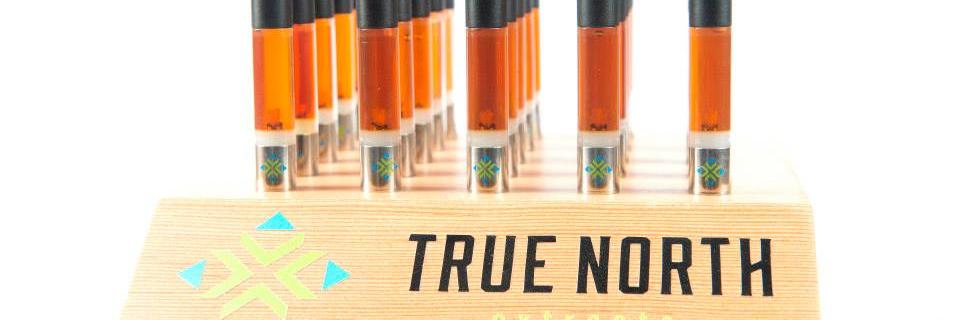 TrueNorthX's profile banner image