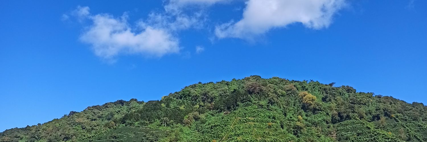 Marcos_Nz's profile banner image