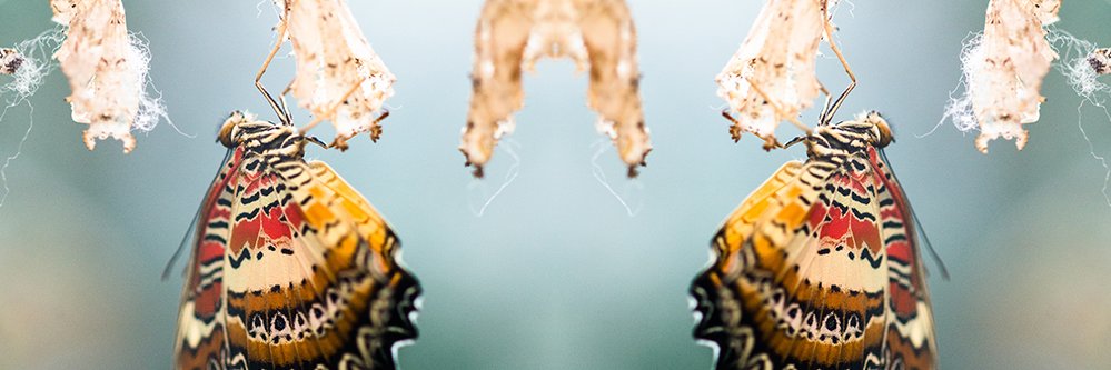 Bitkom_DT's profile banner image
