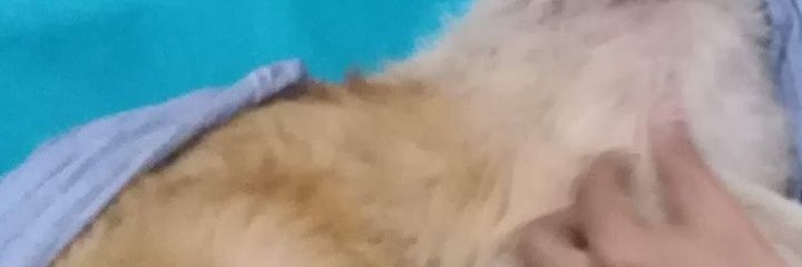 Jackiespin2's profile banner image