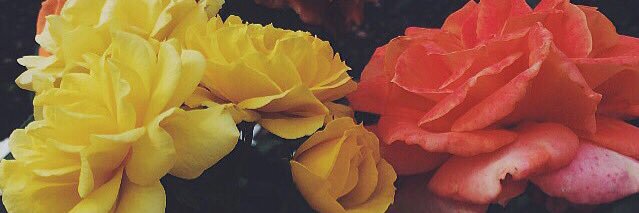 oklordh's profile banner image