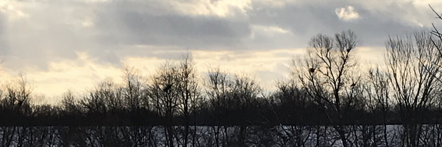 PurpleRen331's profile banner image