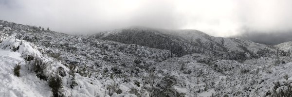 jeeybean Profile Banner