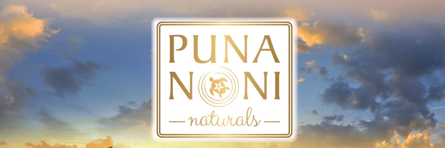 NoniPuna's profile banner image