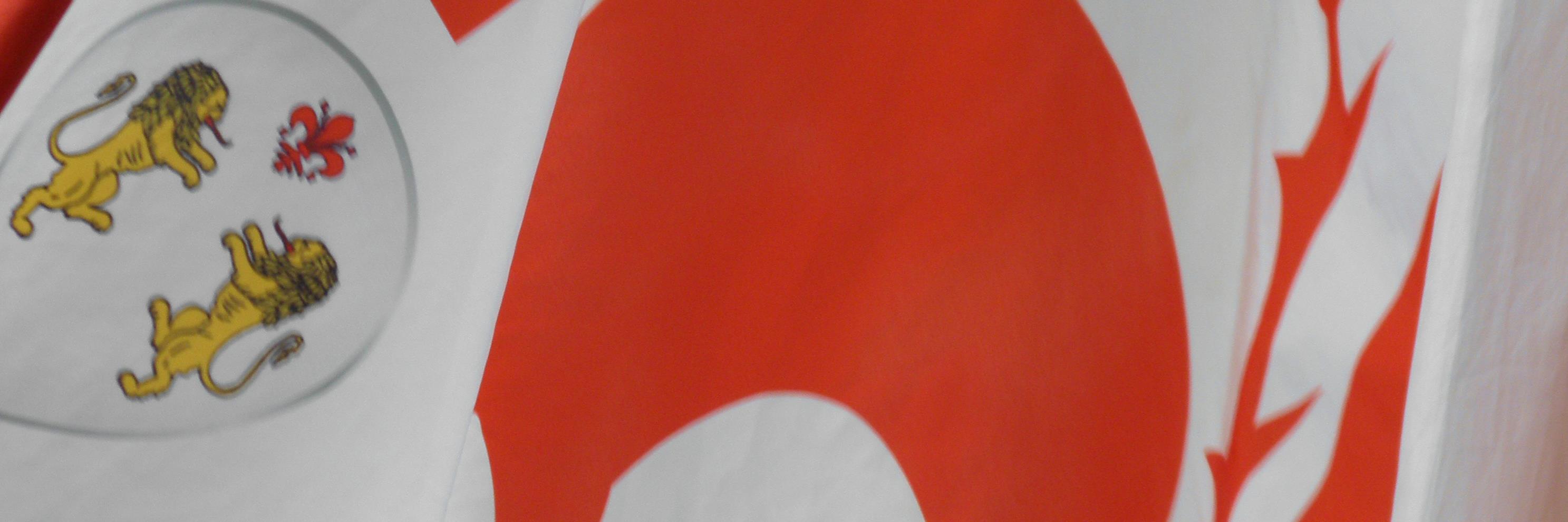 alessandroberchielli banner