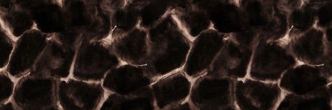 Monicalyngls17's profile banner image