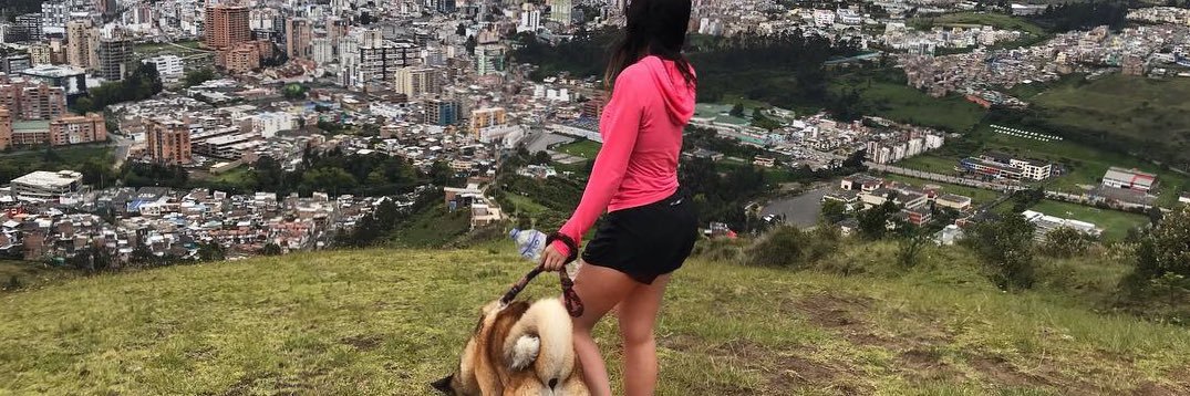 pabcoooo's profile banner image