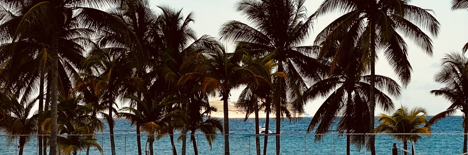 SeleneLusso's profile banner image