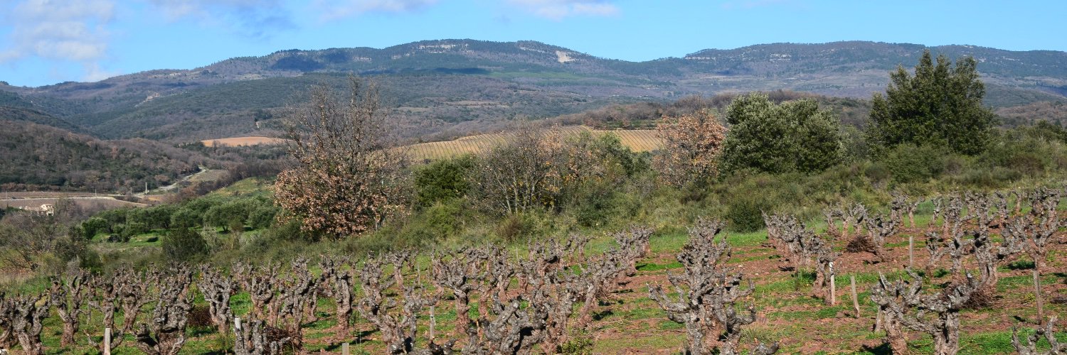 FlorenceGuilhem's profile banner image