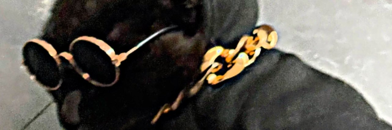 ArthurS095's profile banner image