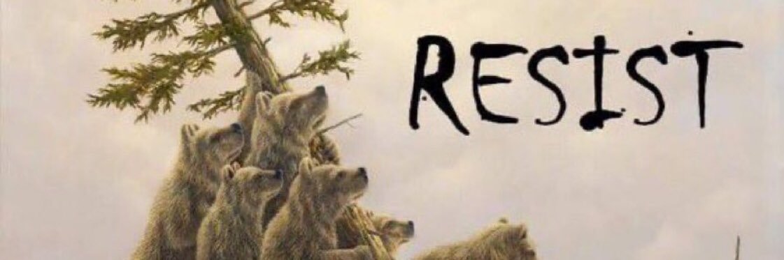 𐌔𝘵𝘢𝘺 𐌔𝘩𝘪𝘯𝘺-🌳𝘩𝘶𝘨𝘨𝘦𝘳🟧🌊🏳️‍🌈🏳️‍⚧️ banner