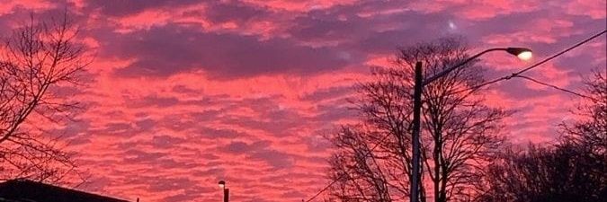 wylkrox's profile banner image
