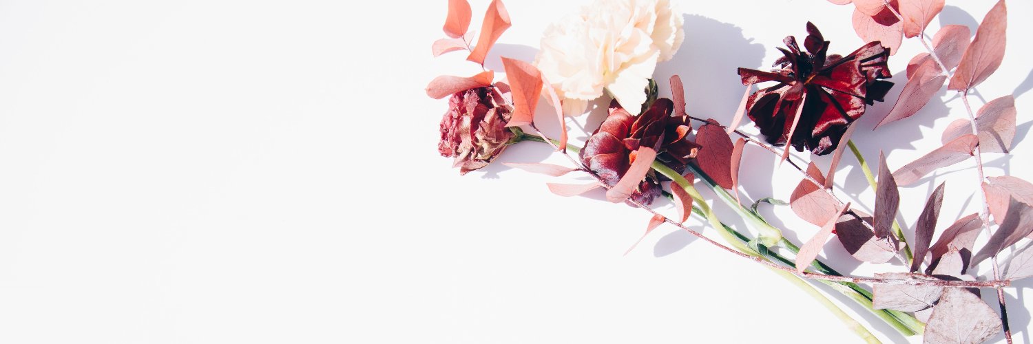 thcopygirl's profile banner image