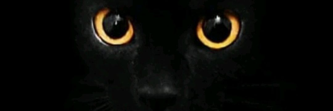 saris_12's profile banner image