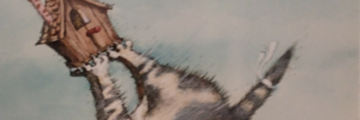 True North Woman's banner