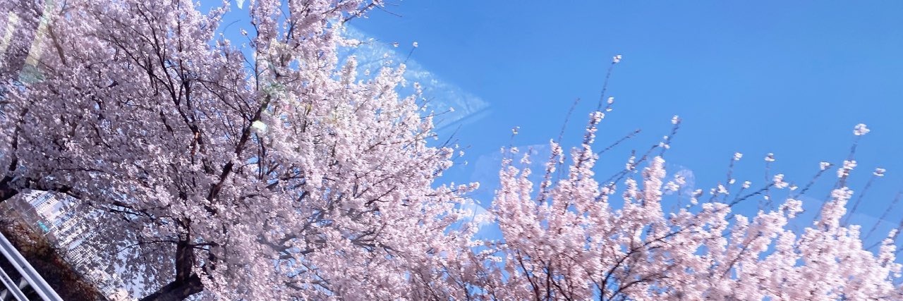 Aandylinn's profile banner image
