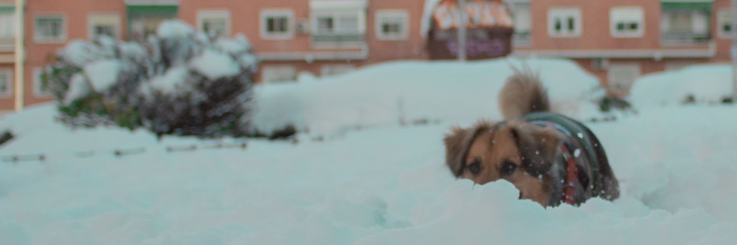 quefri0hace's profile banner image
